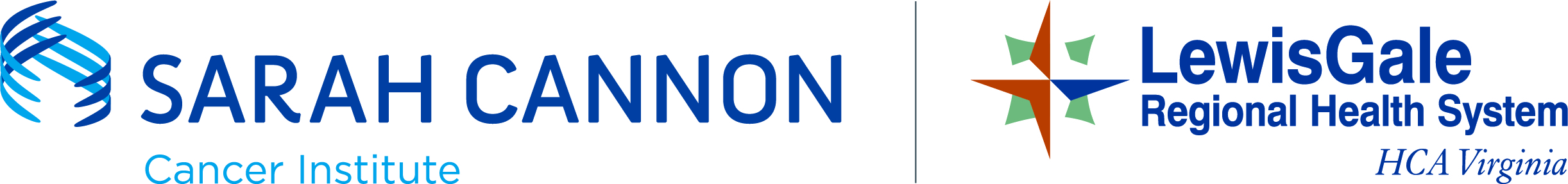 Lewis Gale Regional Health System - Sarah Cannon
