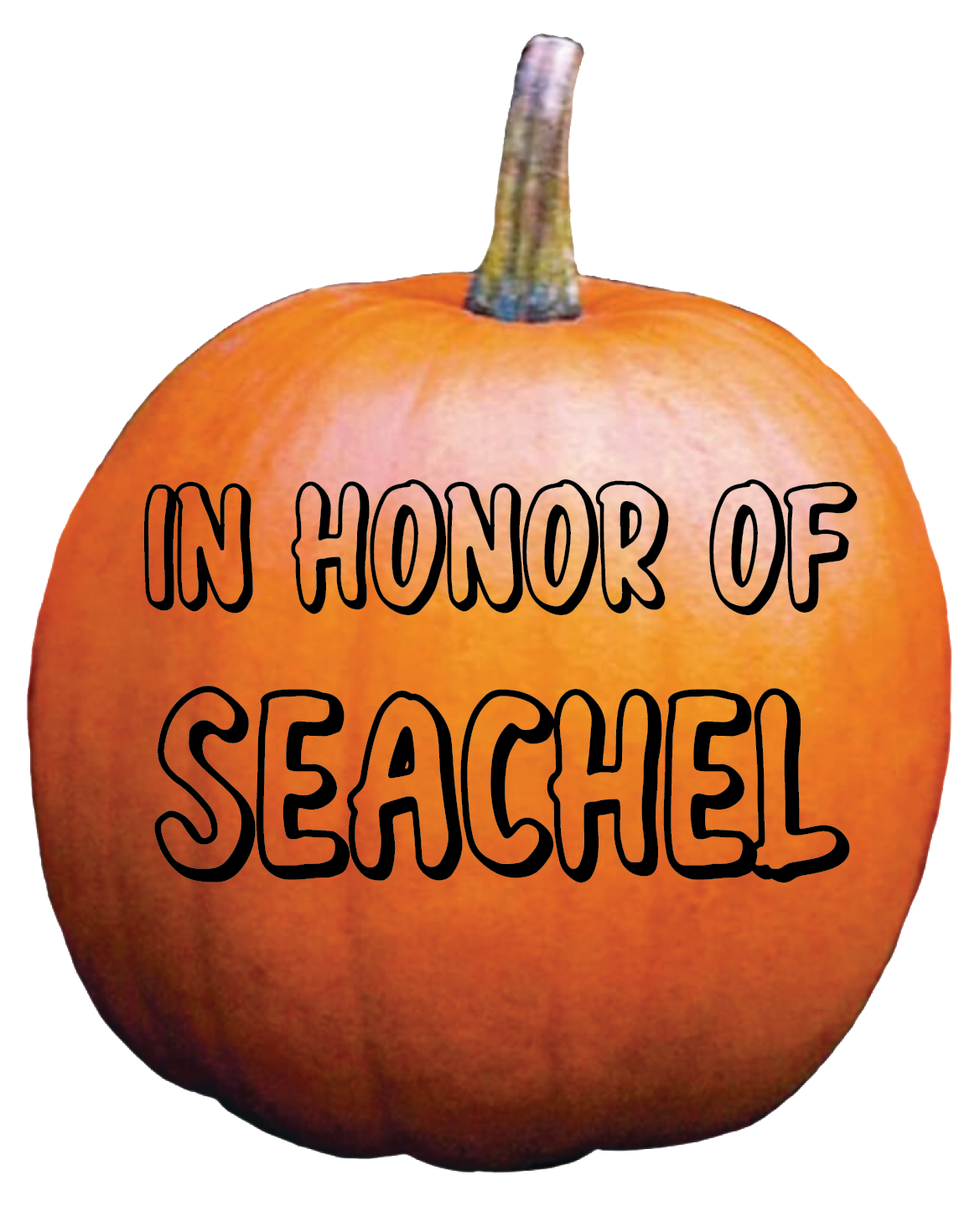 Virtual Pumpkin Patch