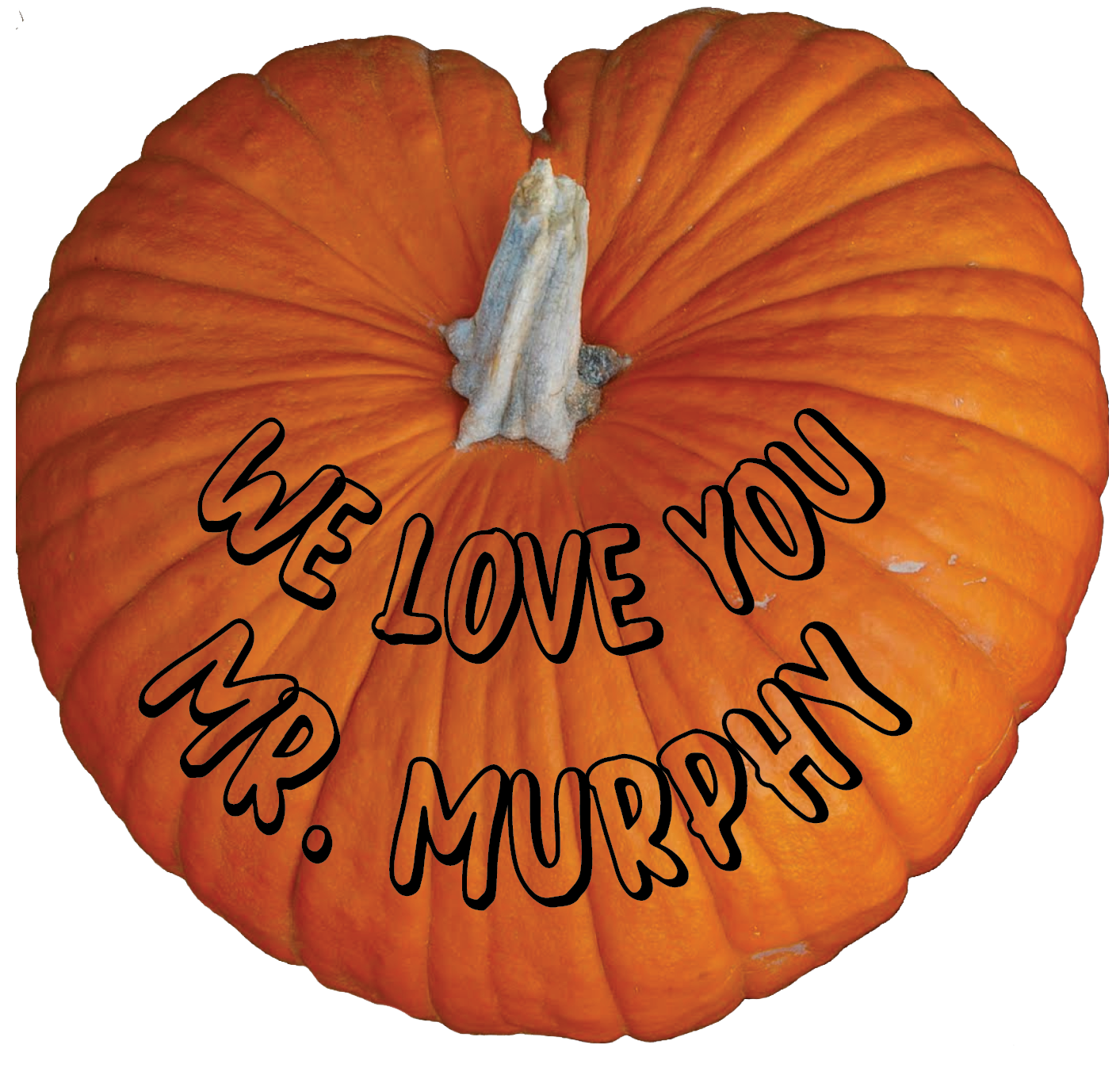 Thank you, Liz Wiggans, for your $50 Donation.