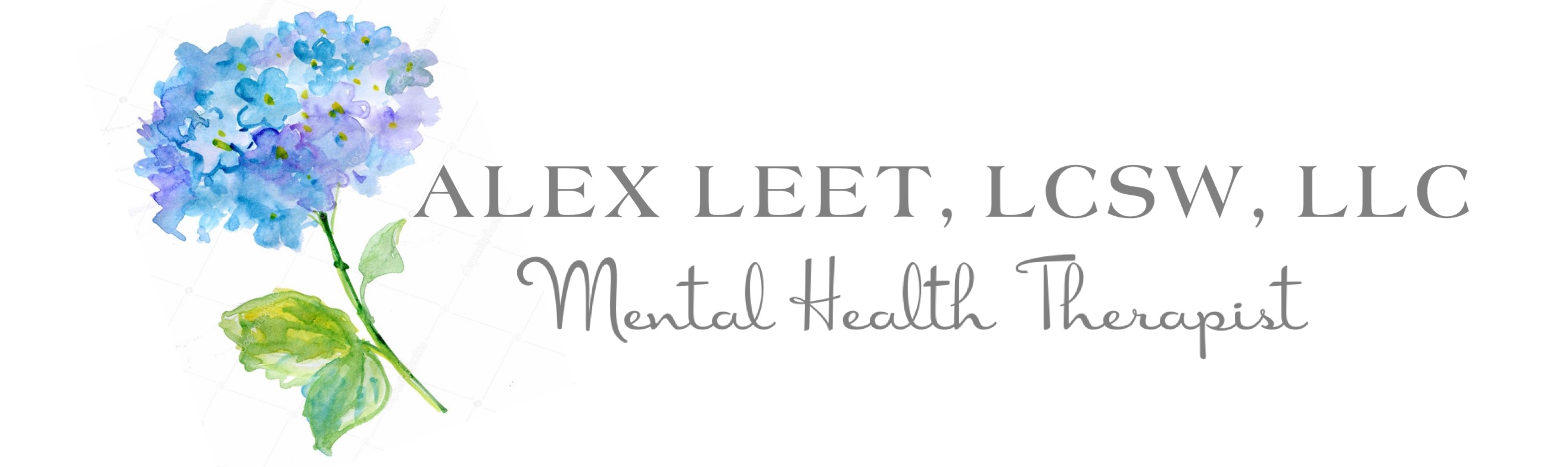 Alex Leet, LCSW, LLC