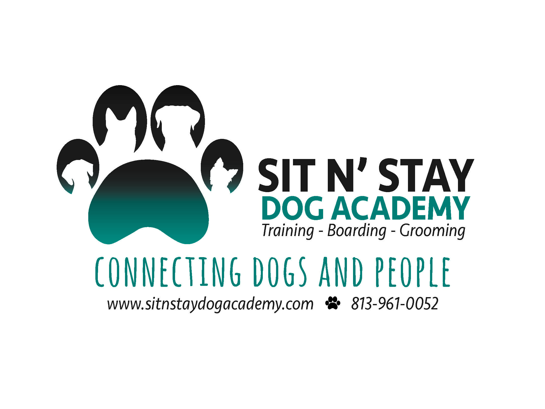 Sit N Stay Dog Academy