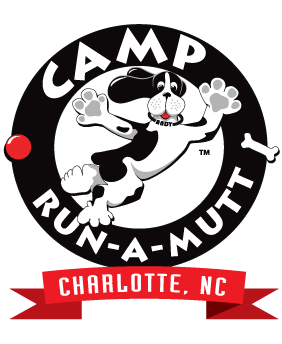 Camp Run-A-Mutt