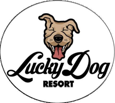 Lucky Dog Resort 