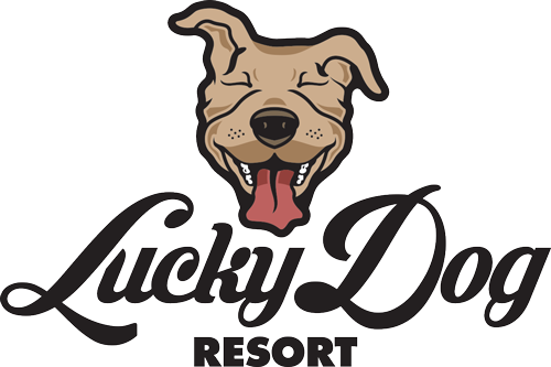 Lucky Dog Resort