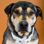 This is definitely profile pic worthy!