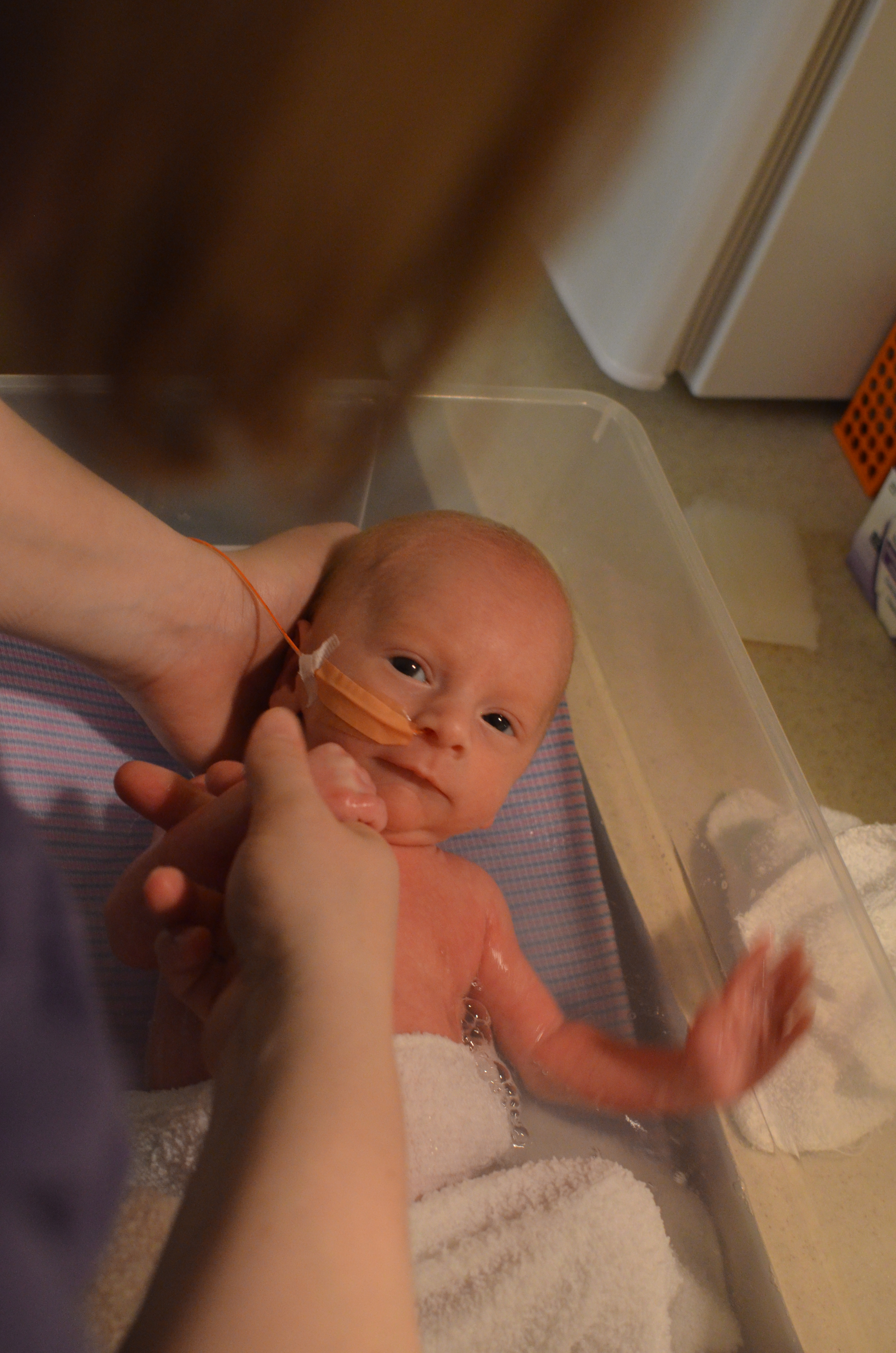 Madden taking a NICU bath