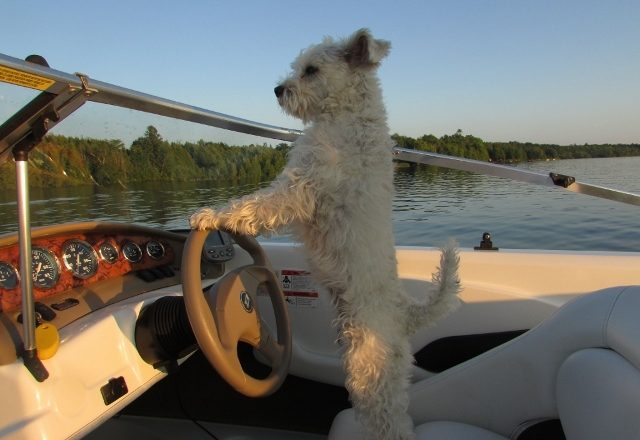 From Percy to Maggie