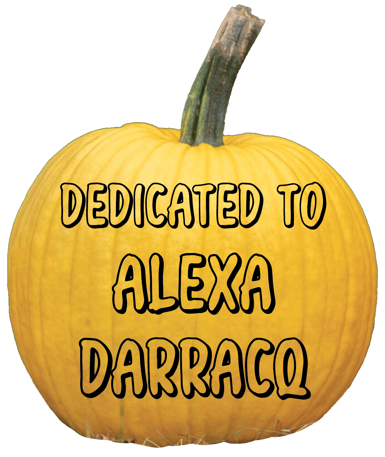 Thank you, Manuel Garcia, for your $100 donation.