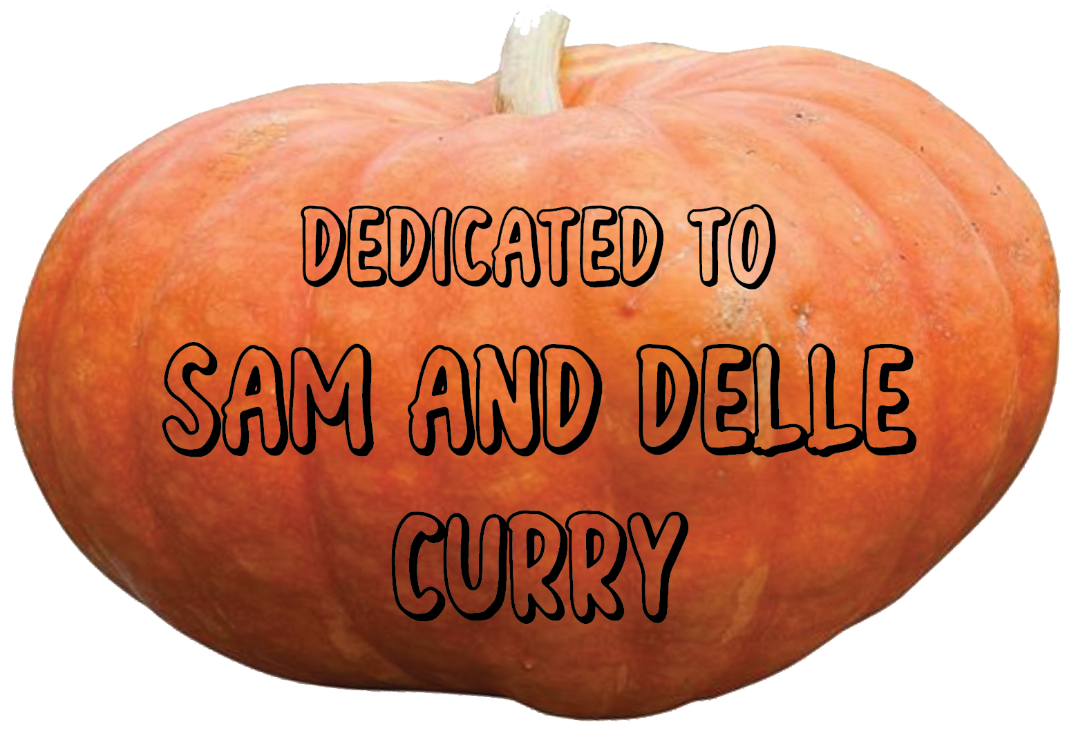 Thank you, Mason Curry, for your donation.