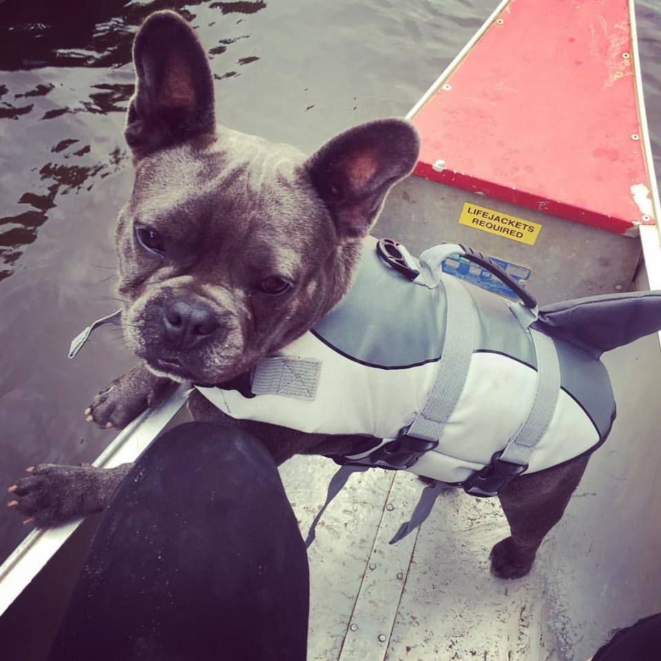 Canoeing with my Shark Life jacket!