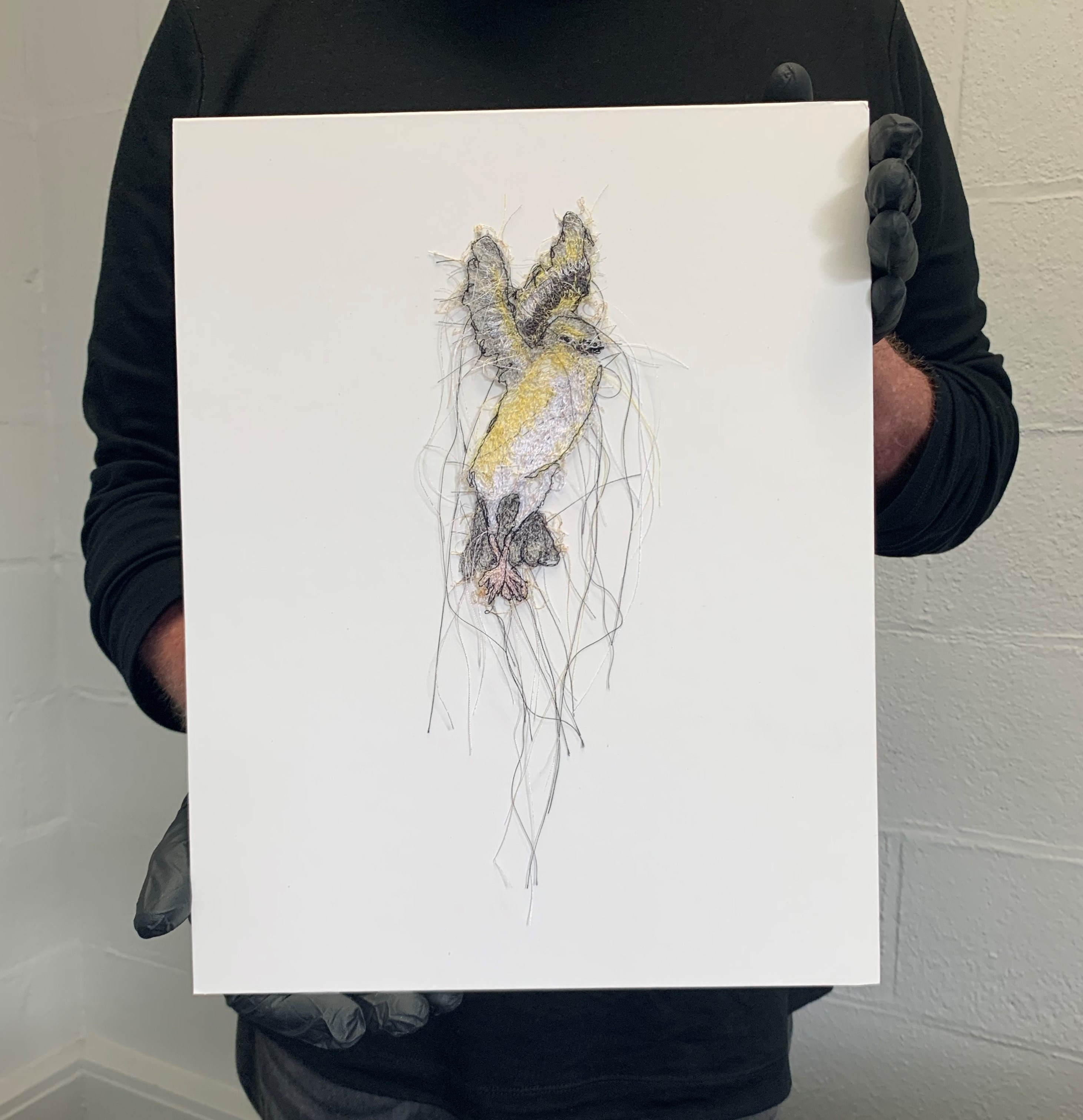 Item 3 Size Reference