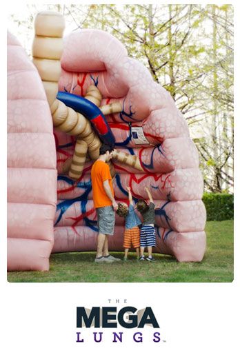 Visit the MEGA Lungs at Run.Walk.BREATHE!