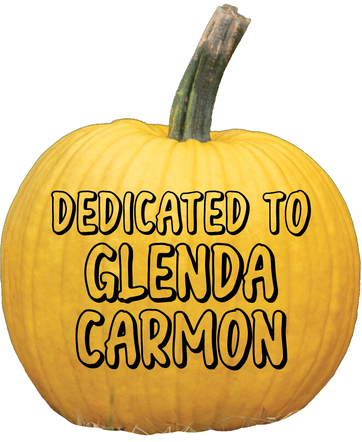 Thank you, Megan Lewis, for your donation.