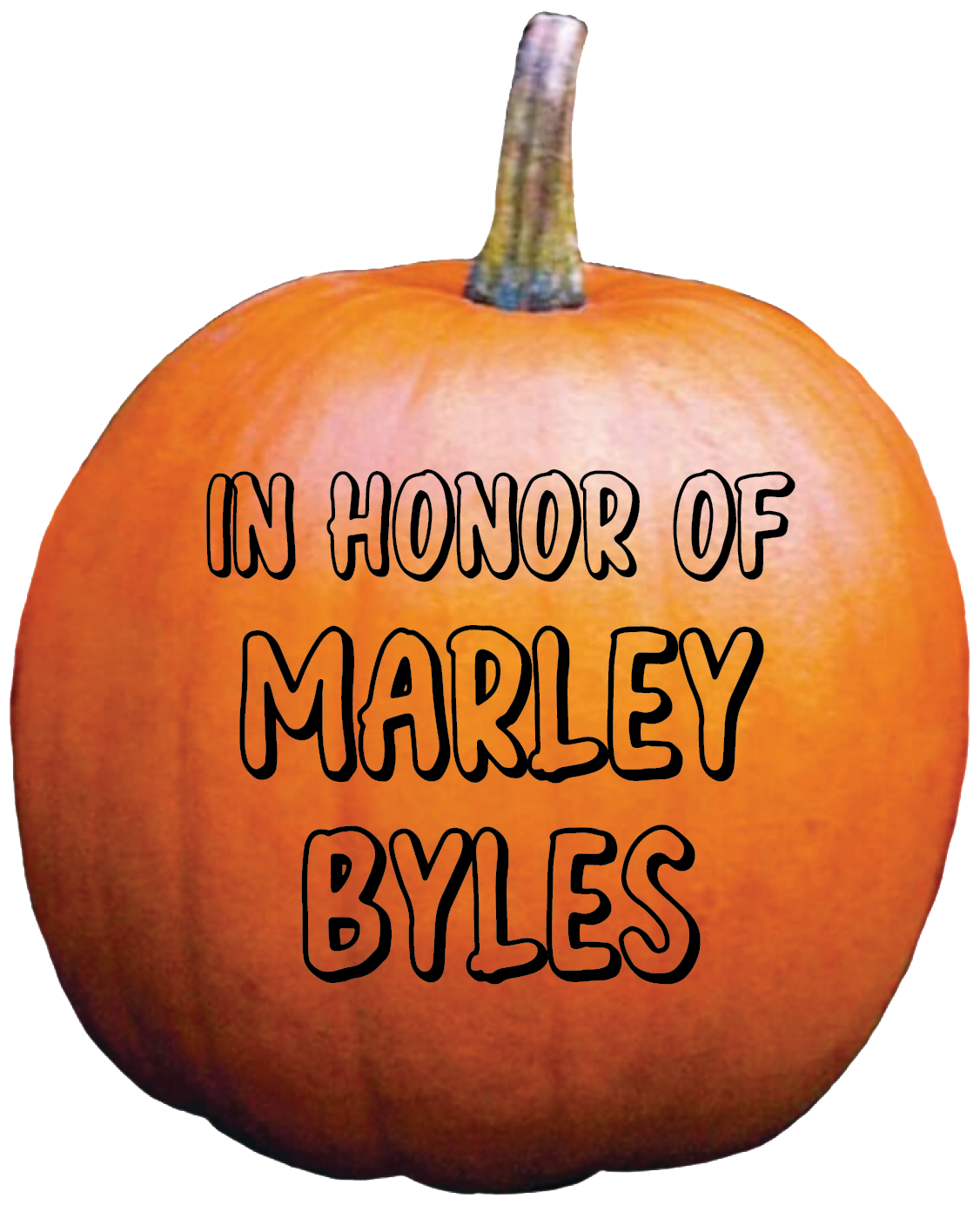 Thank you, Meri Sol, for your donation of $52.22.