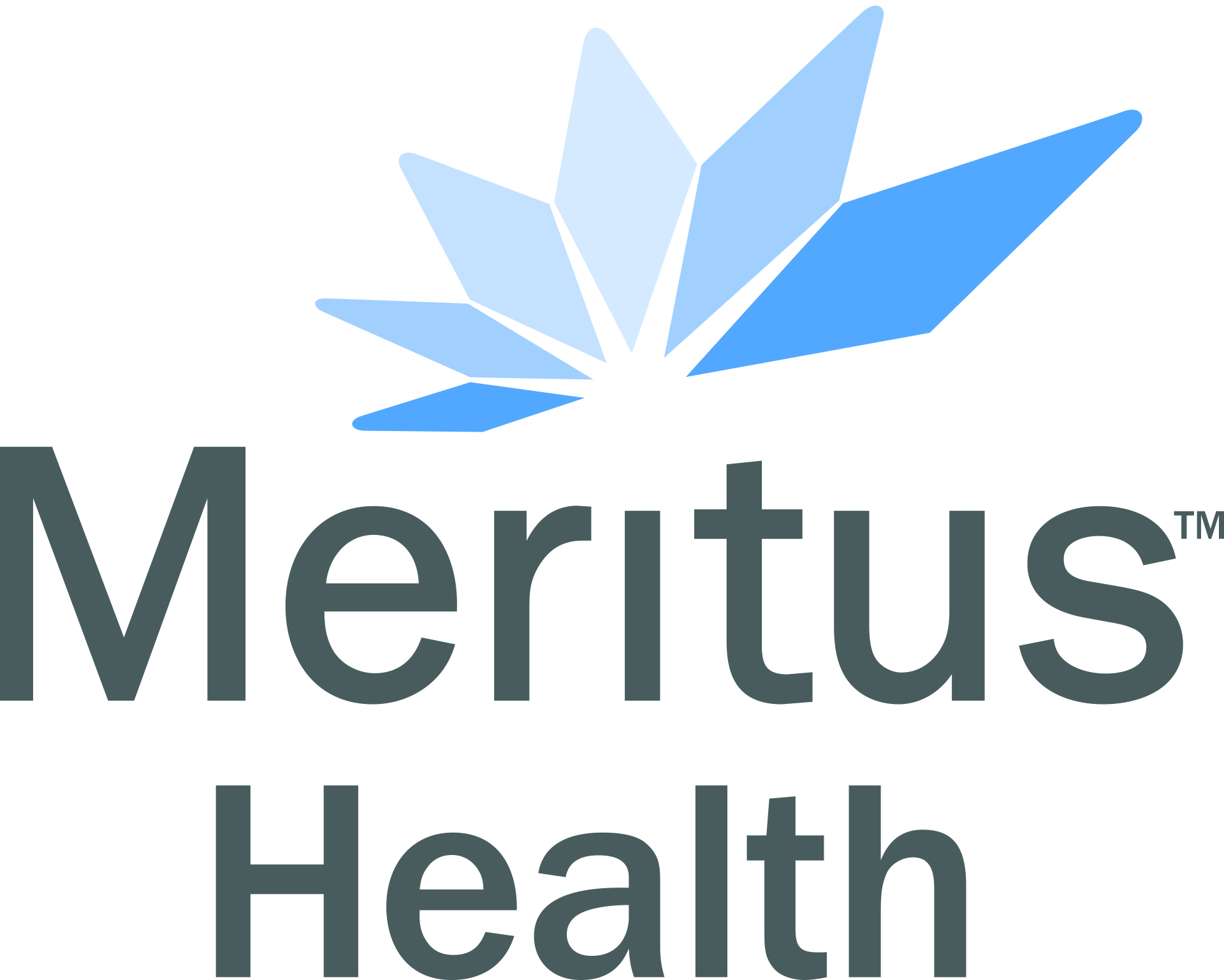 Meritus Health