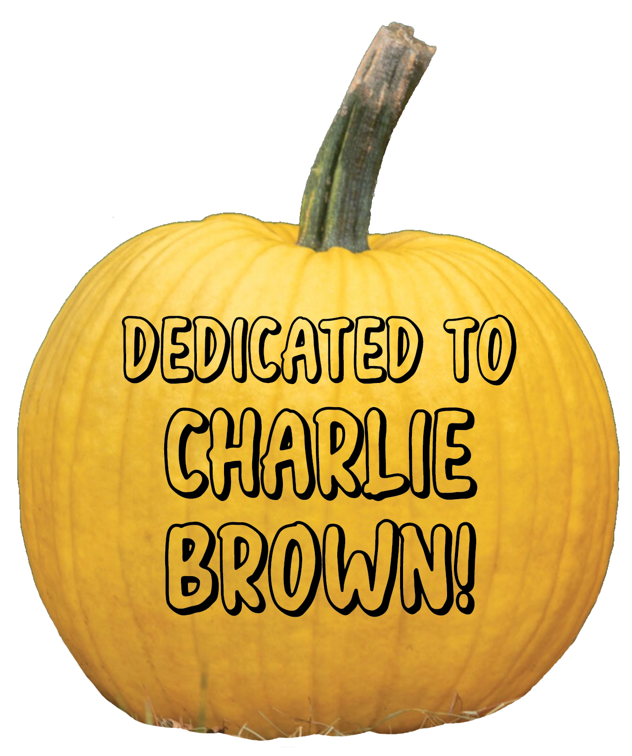 Thank you, Michael Reen, for your generous donation of $522.25. 