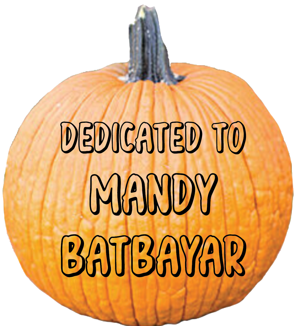 Thank you, Michelle Idertogtokh, for your donation of $52.22