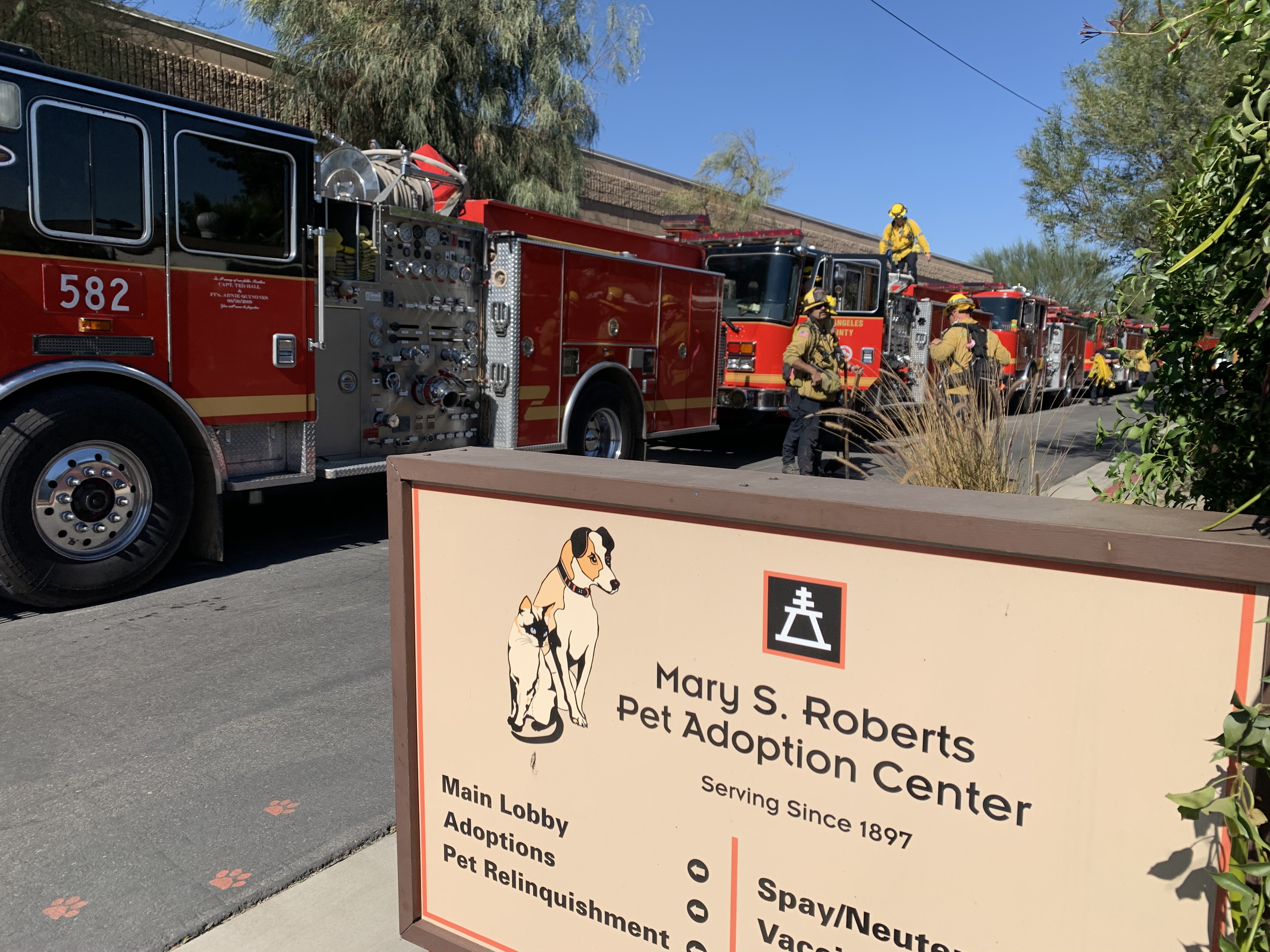 Oct. 31, 2019 - the day a fire crept up so close to the Center. So thankful to the firefighters who saved our pets.