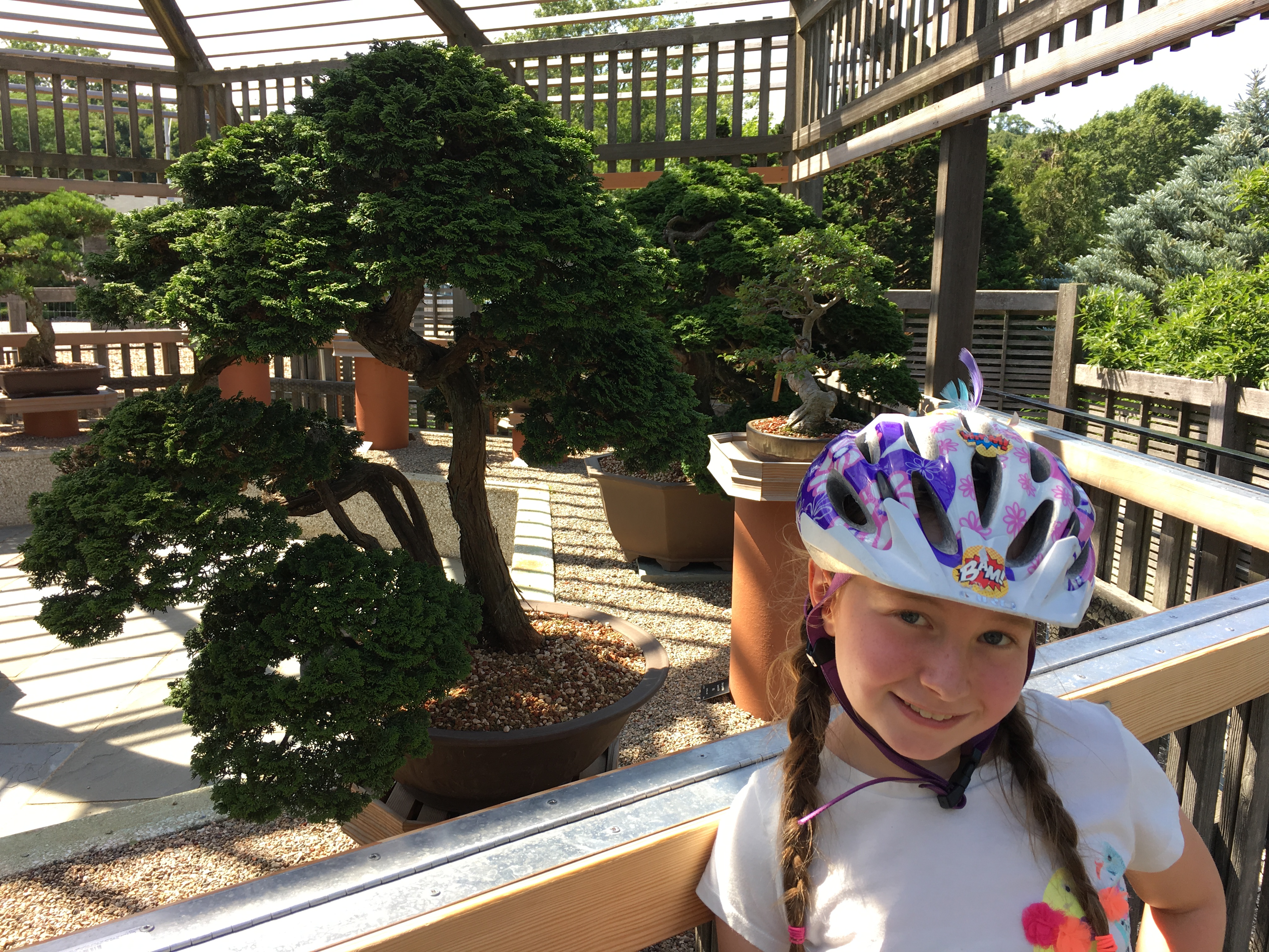 Arboretum bike ride 2015