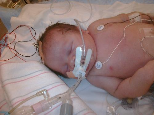 Vanessa hours old