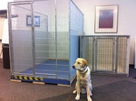 The New Canine Suites