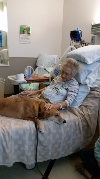 Nicko visiting my wife's grandmother in the hospital