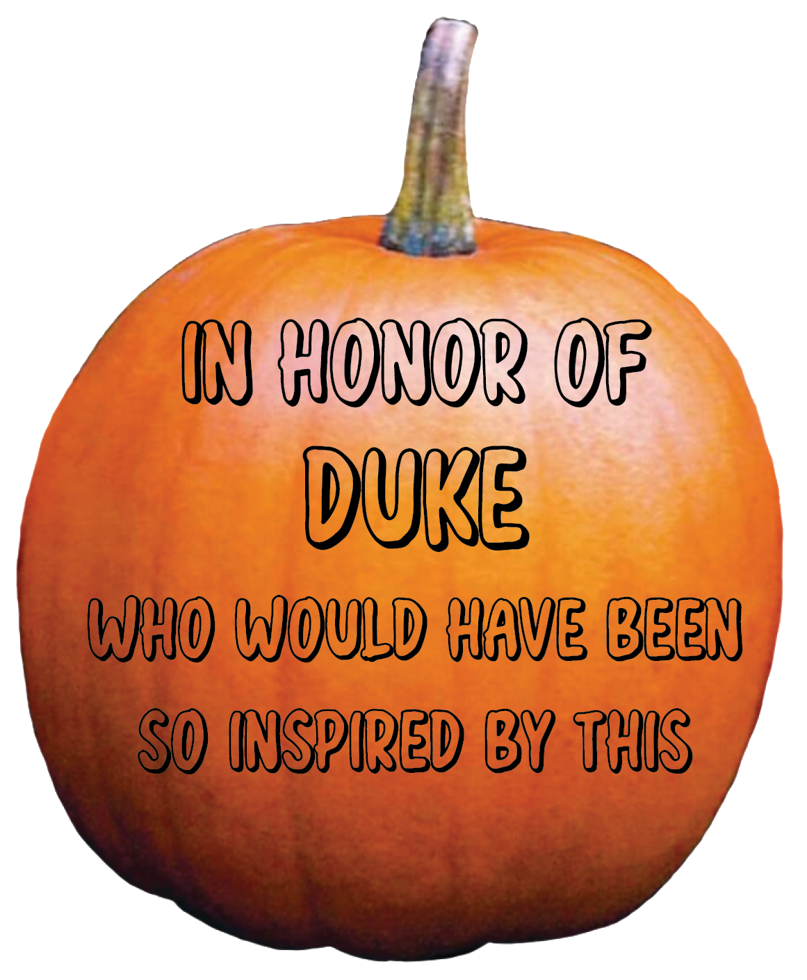 Thank you, Noelle Caime-Babb, for your donation.