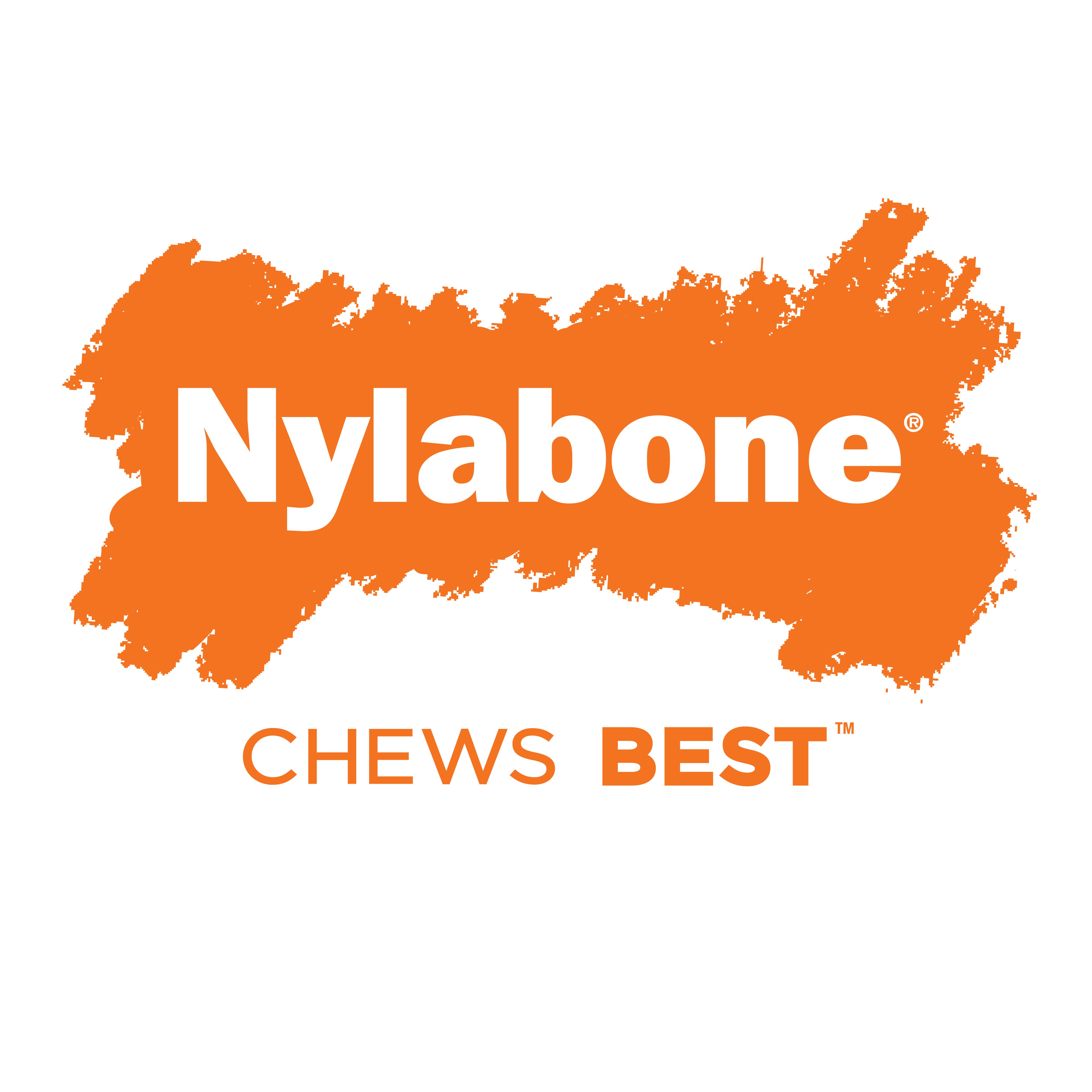 Nylabone