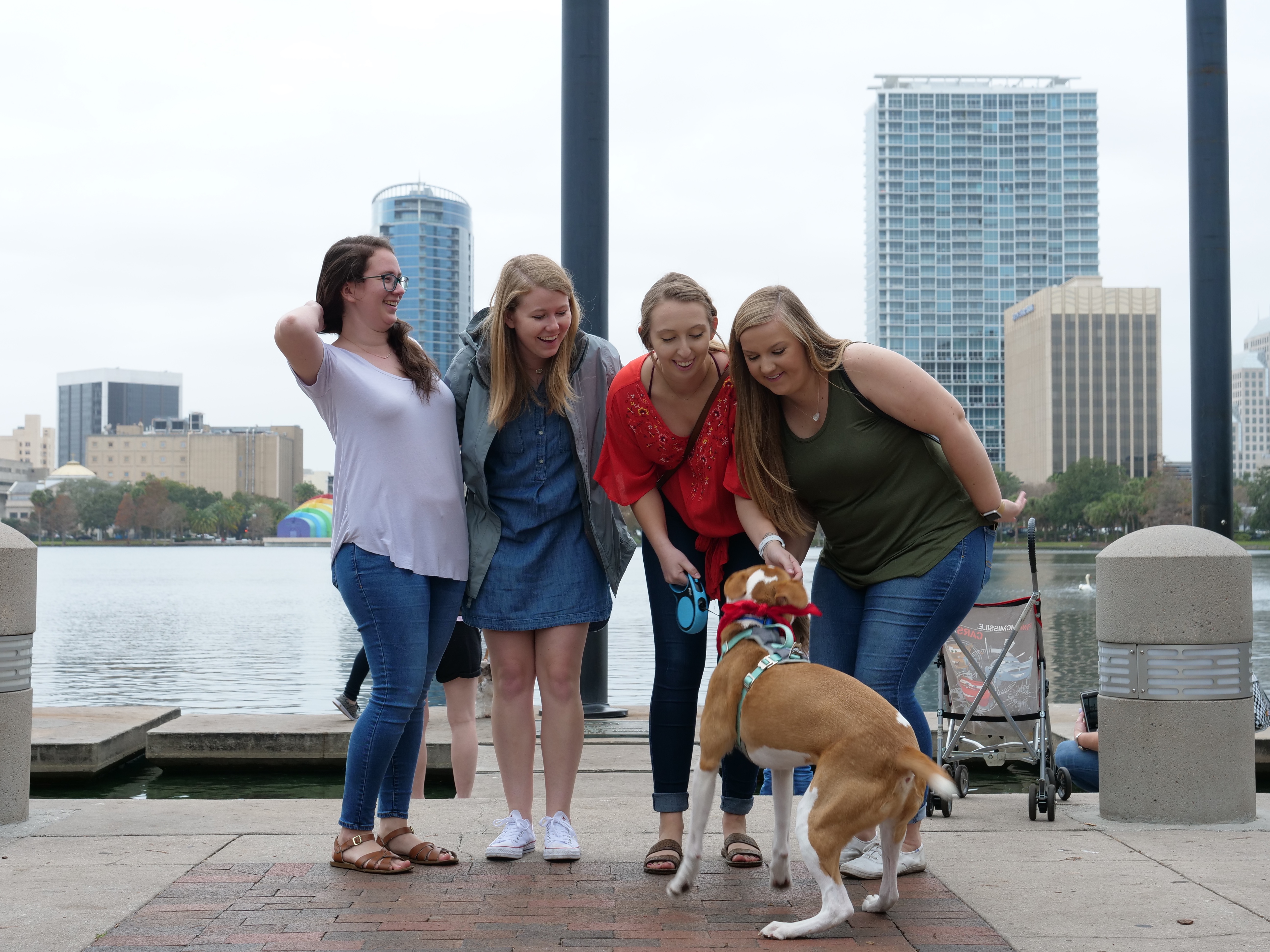 2019 Paws in the Park Gallery