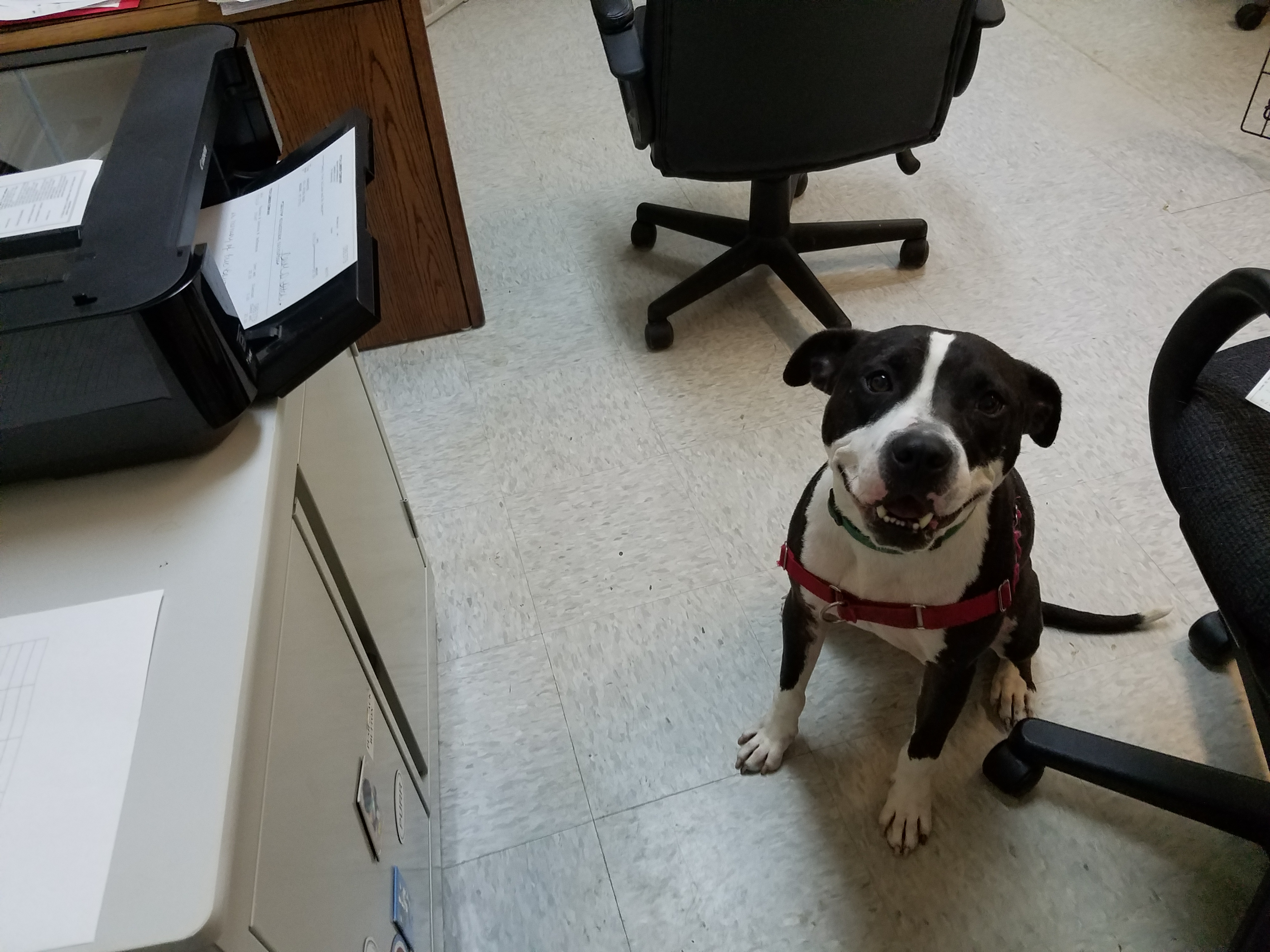 The copier is one of my favorite office machines.
