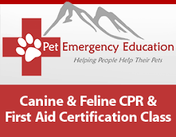 Pet Emergency Education
