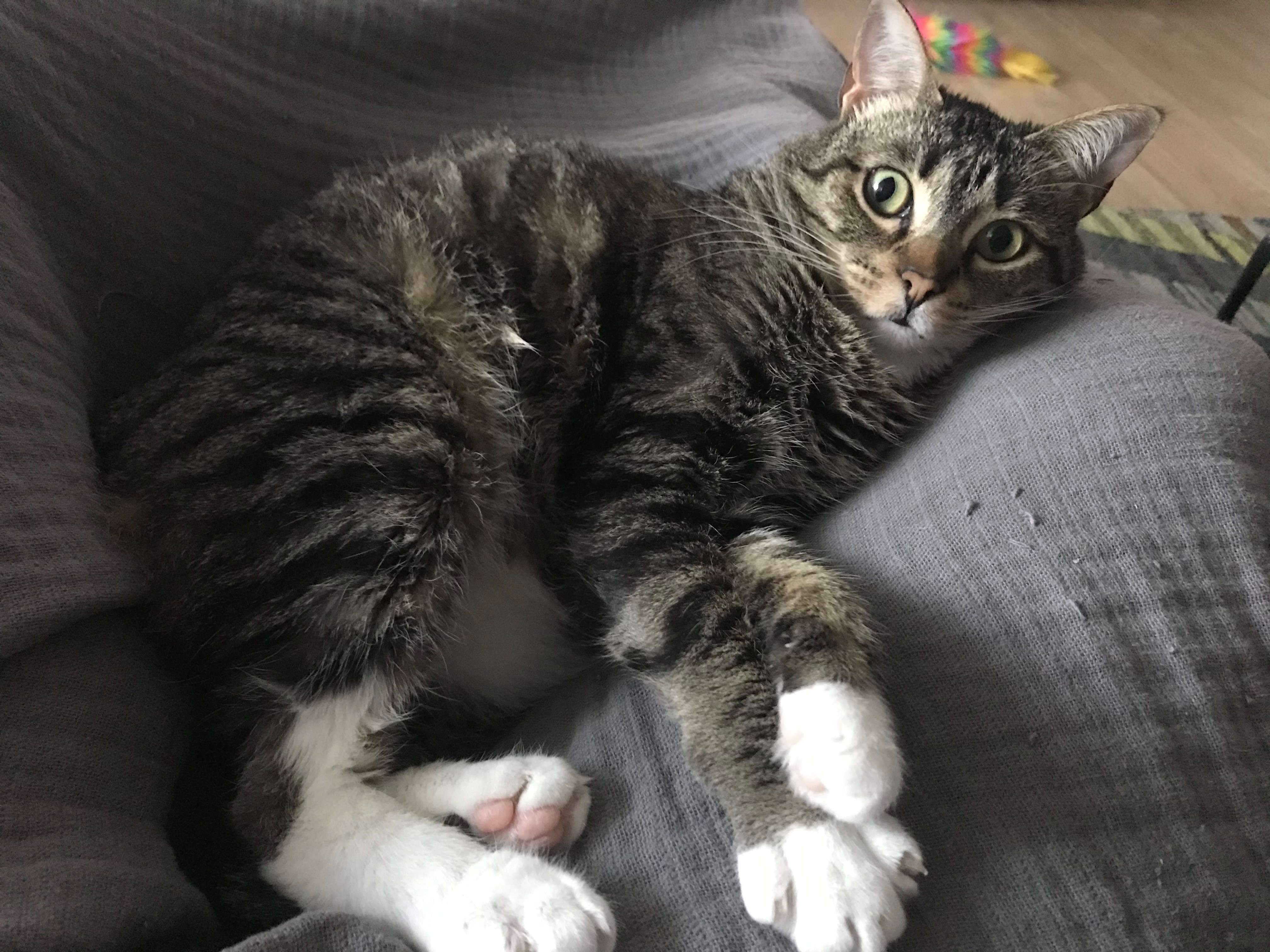 "Wow, that's a lot of exercise..."