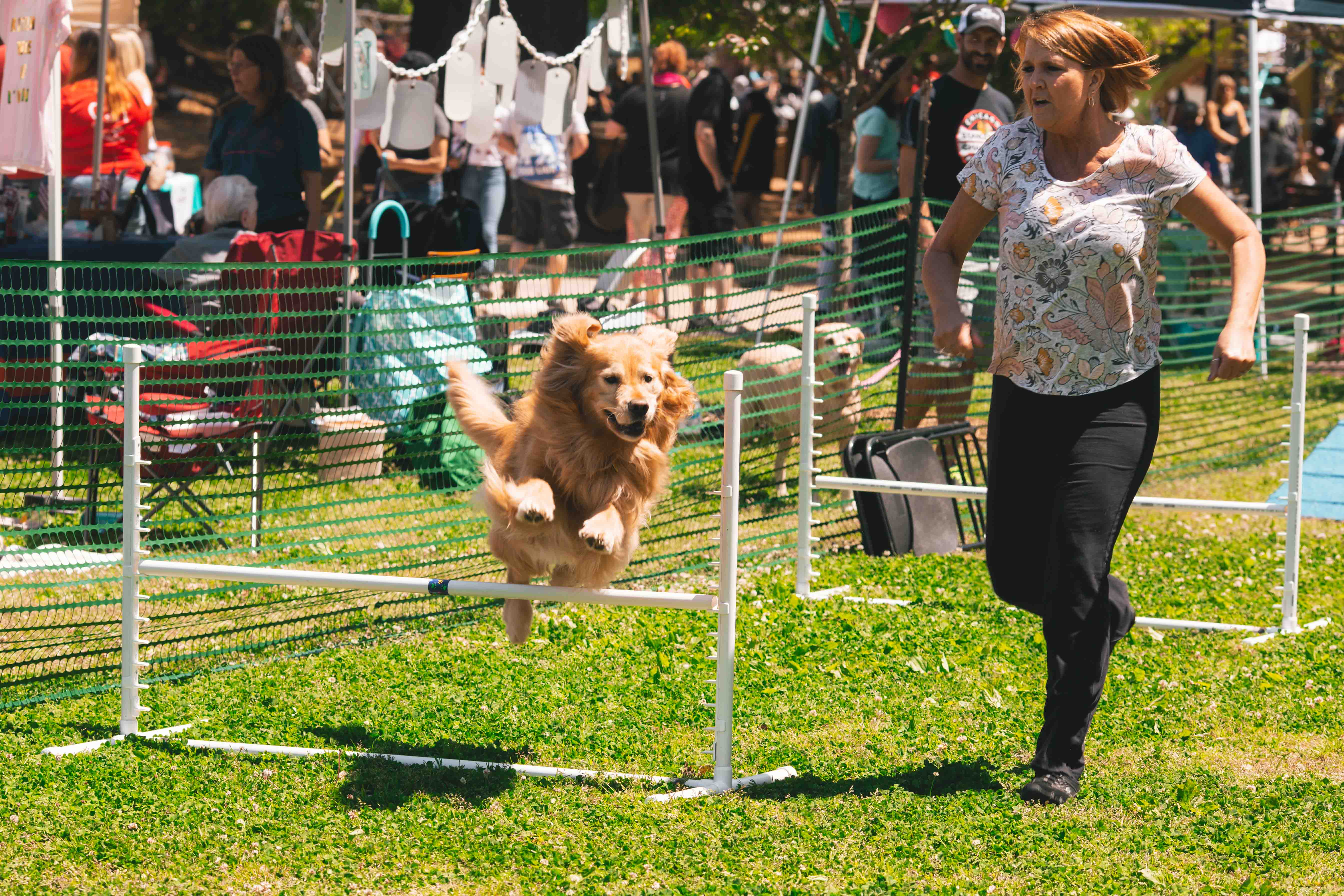 Agility Pro