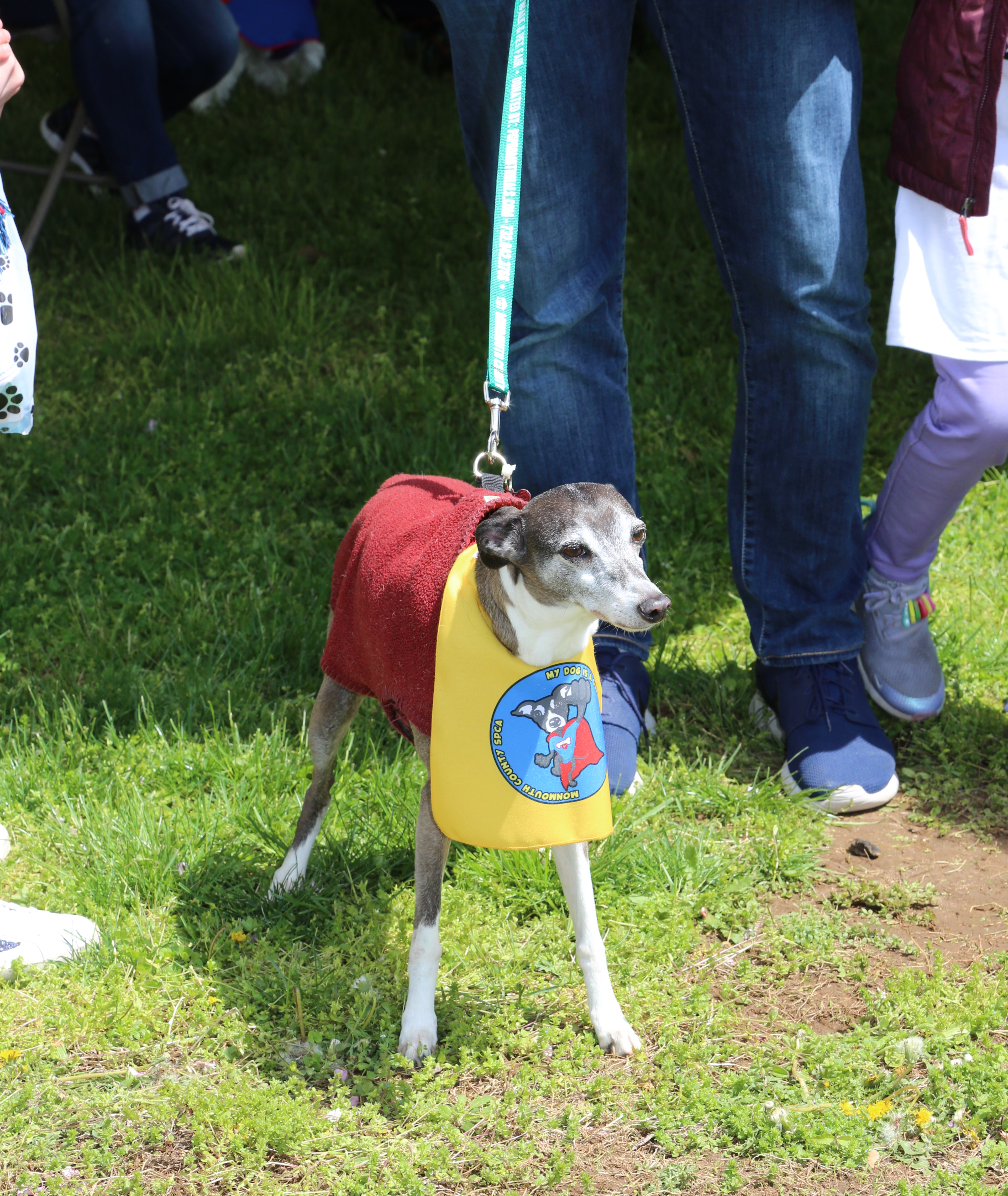 Chairdog Pinot at the 2019 Dog Walk & Pet Fair