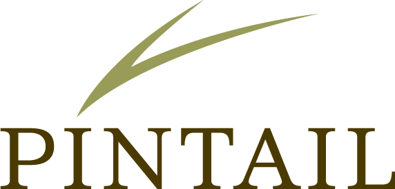 Pintail Capital Partners