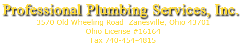 Professional Plumbing Services