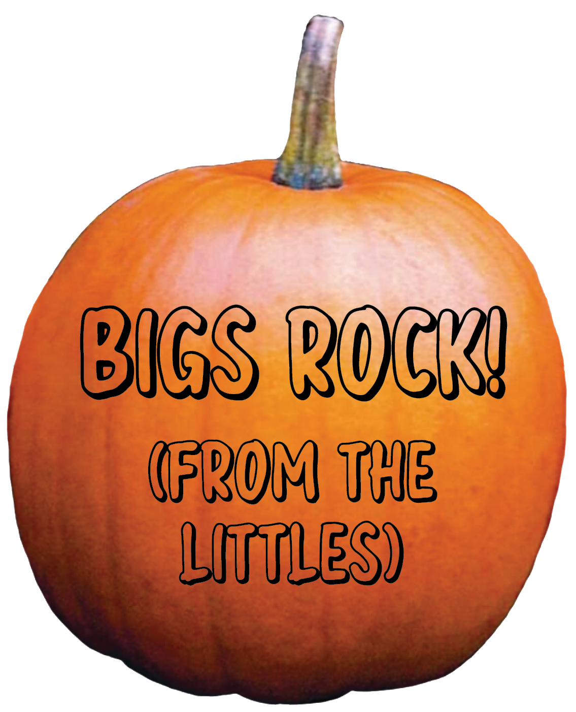 Thank you, Rachelle Chong, for your generous donation.