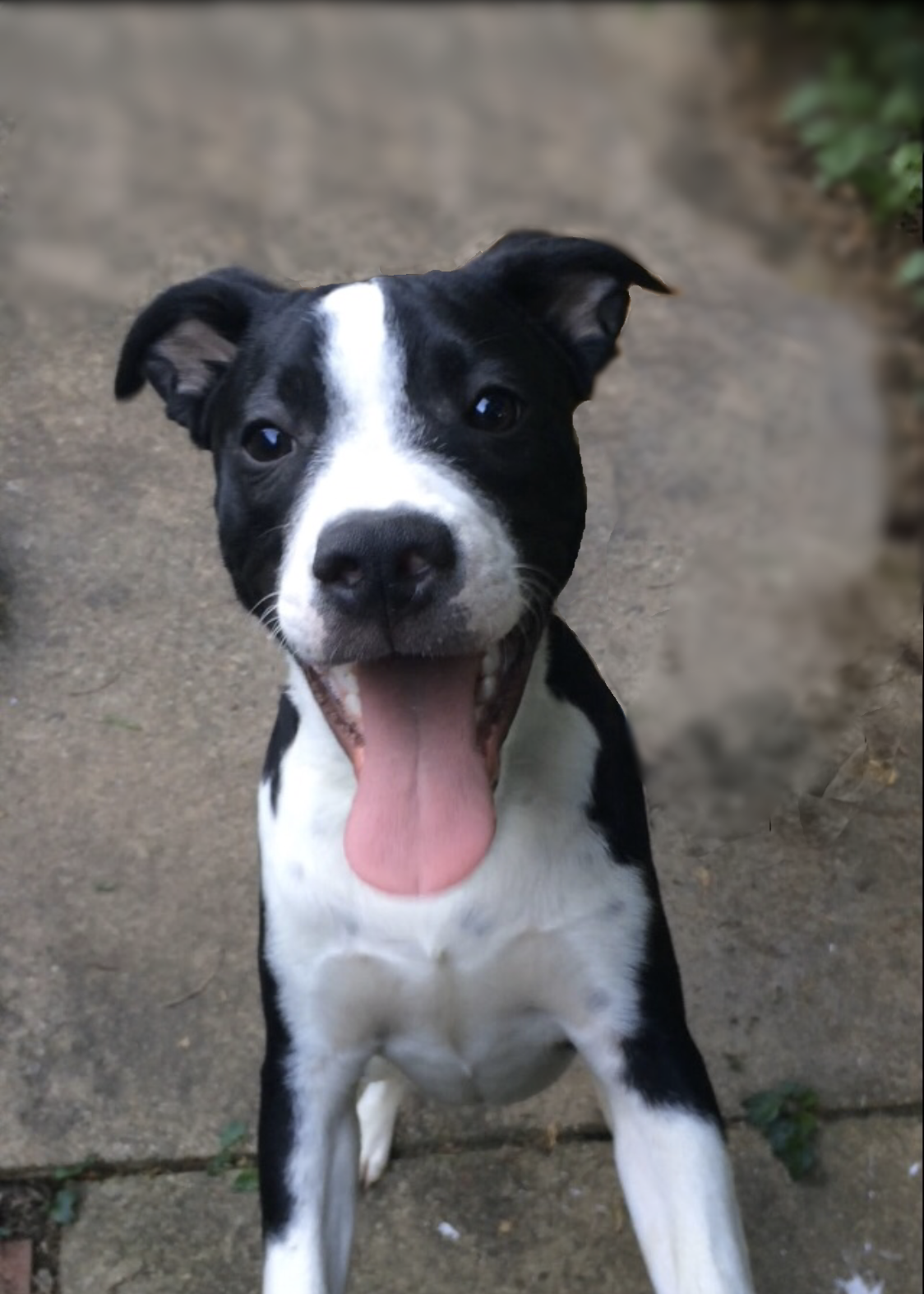 Hi Mommy!  I've been waiting all day to see you!