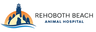 Rehoboth Beach Animal Hospital