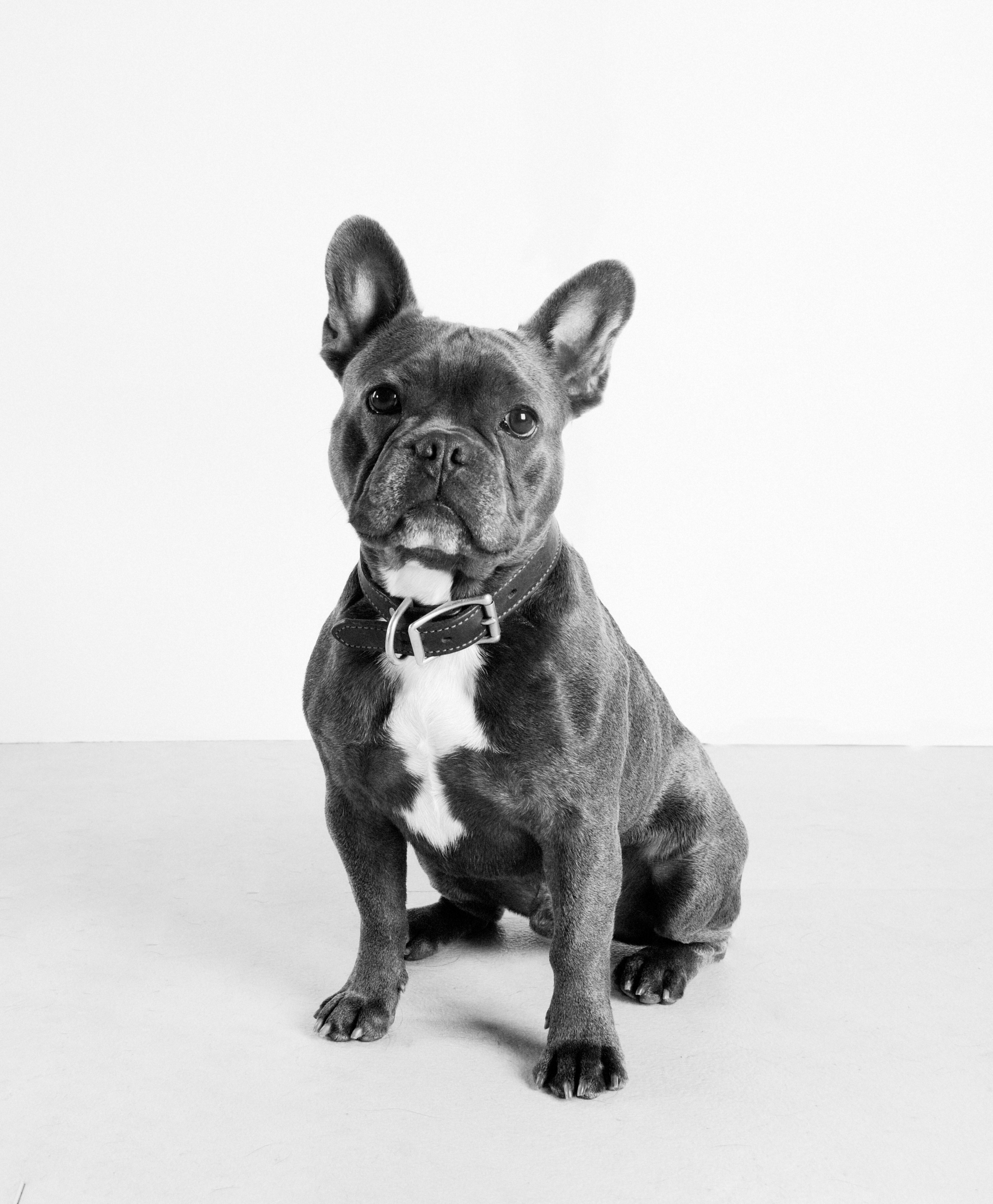 Contest Entry Photo!