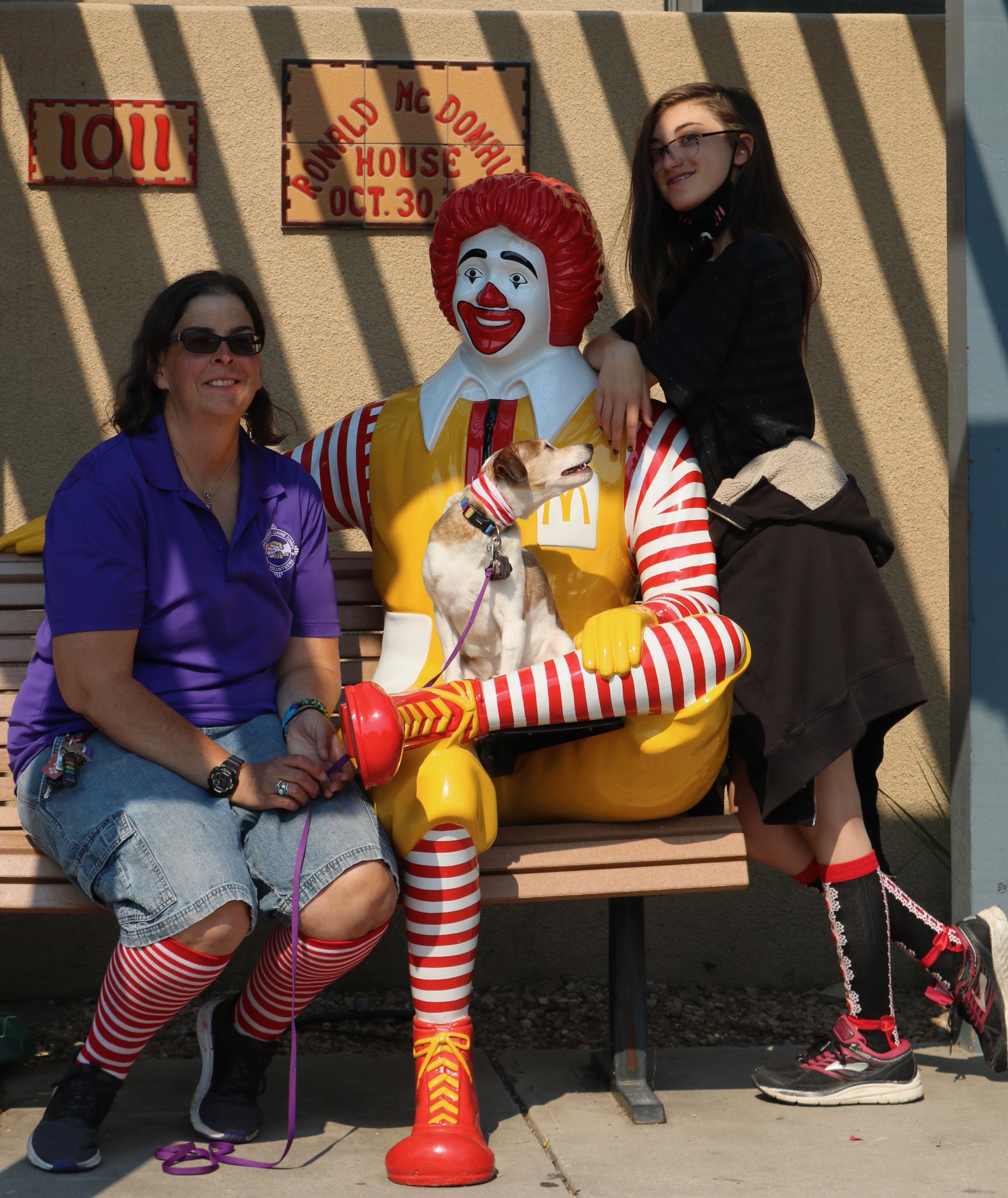 Rock Your Socks 2.jpg