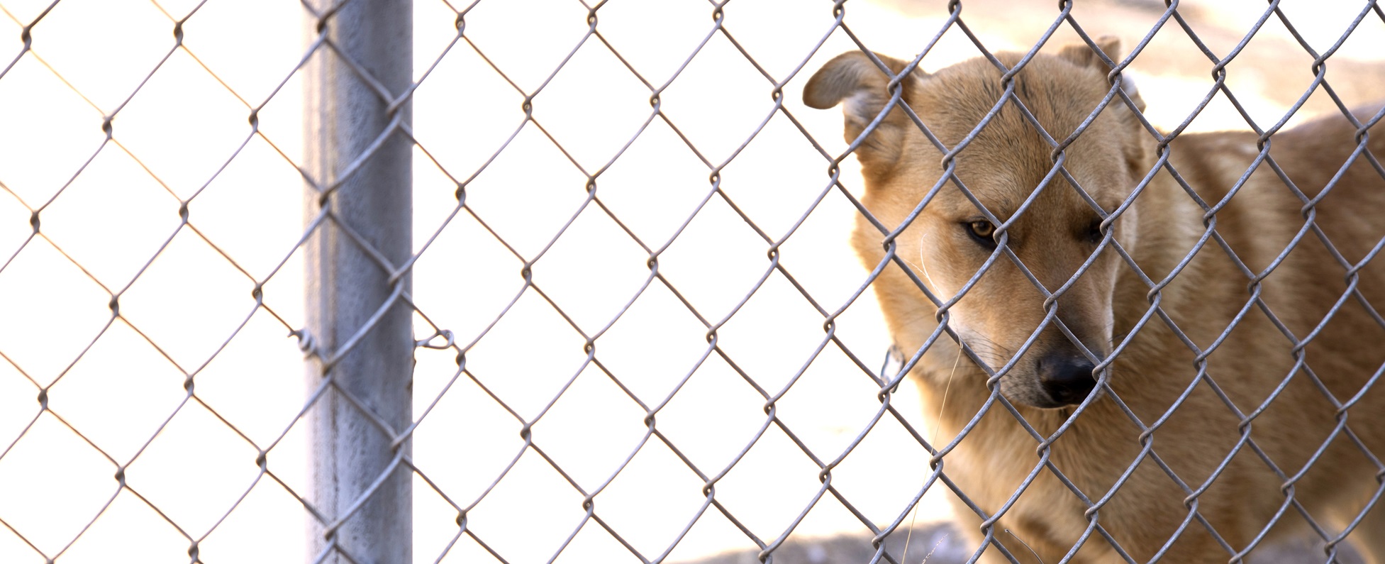 "Be the Voice" New Building Campaign for ECCHA