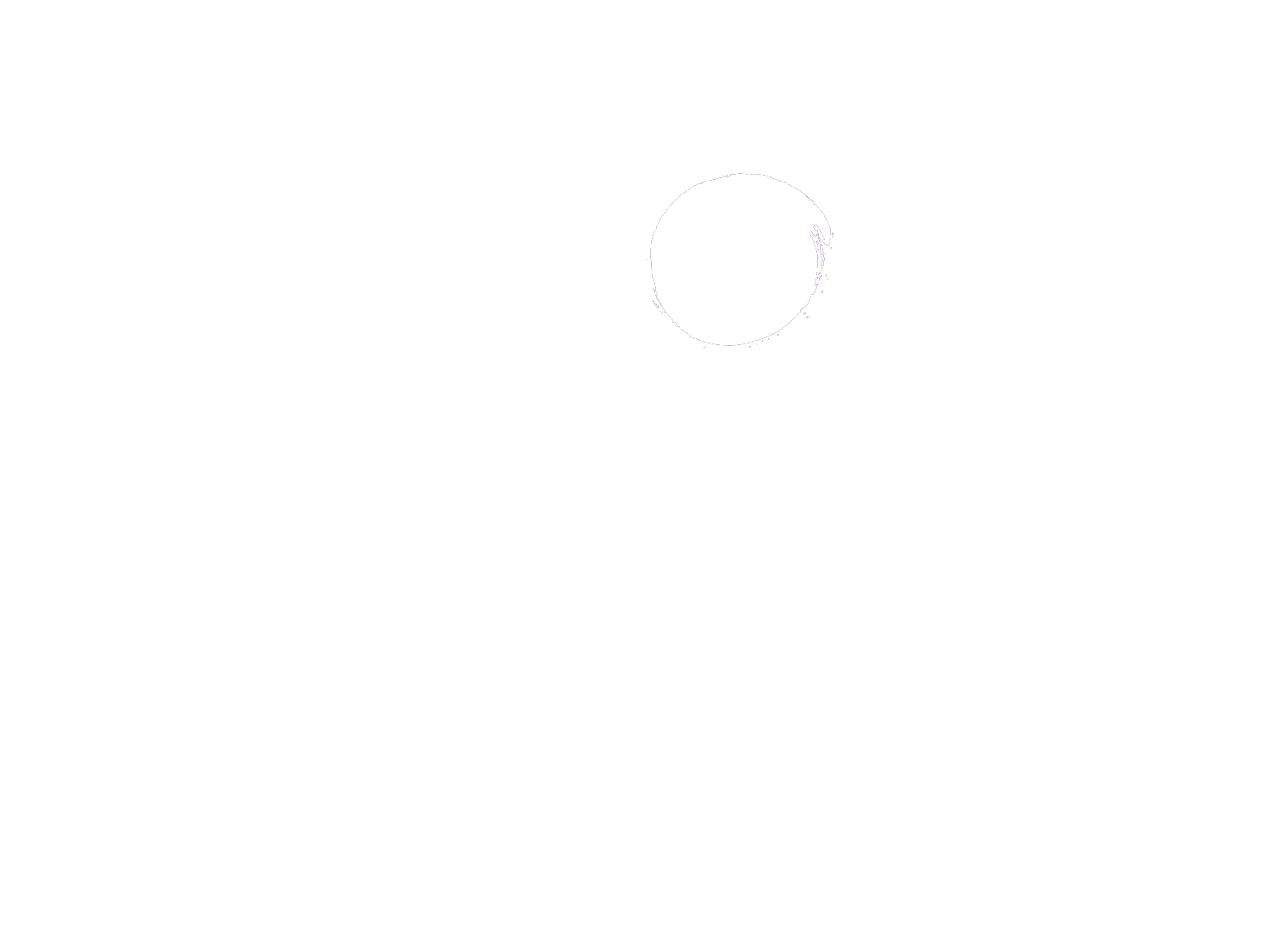 SafeNest - Temporary Assistance for Domestic Crisis, Inc.