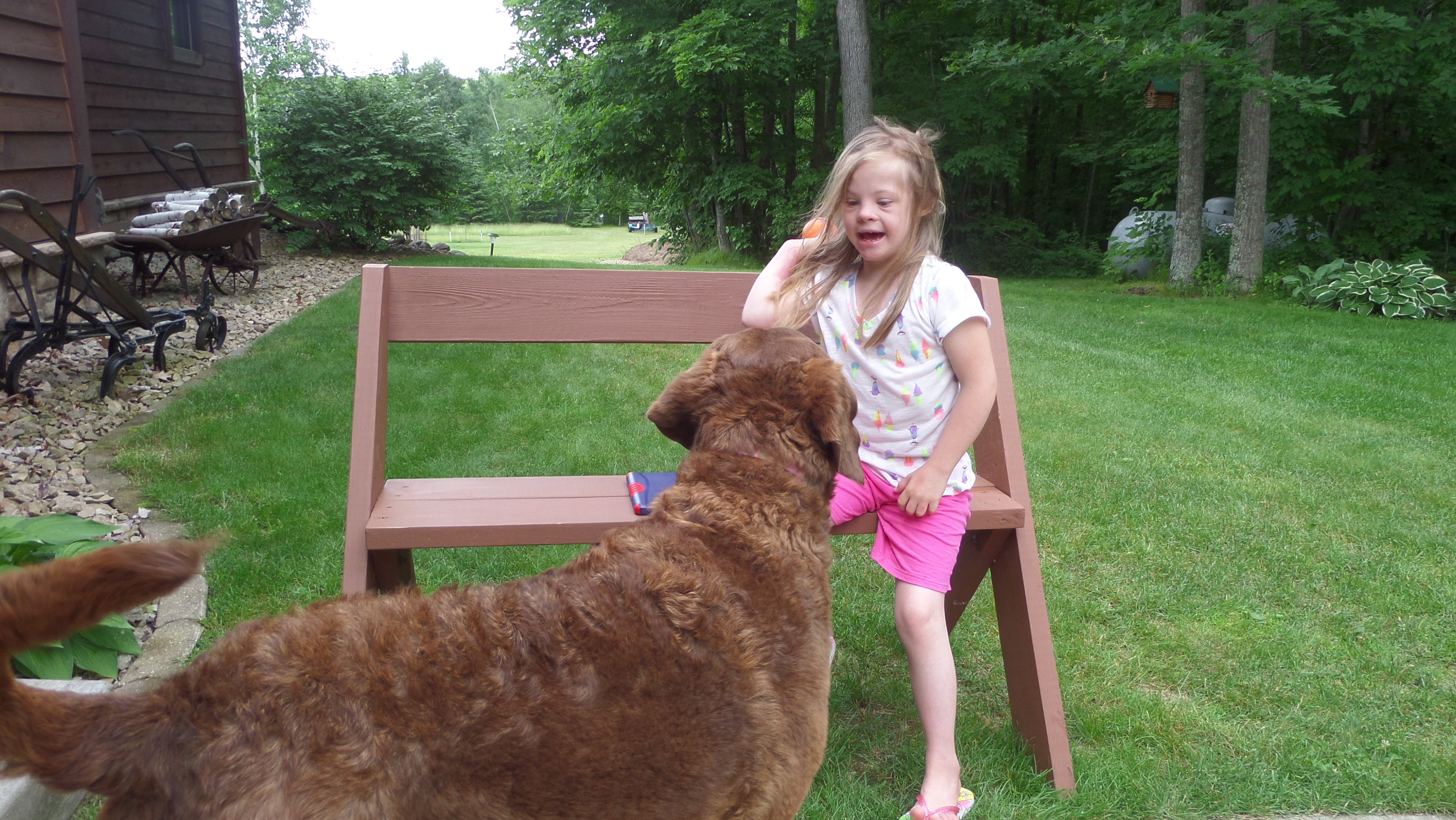 Playing ball with Beam