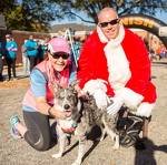 Last year's race photo