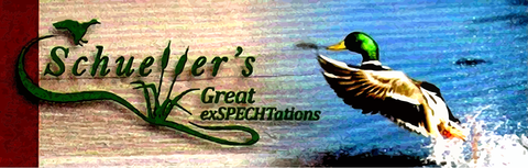 Schuellers Great ExSpechtations