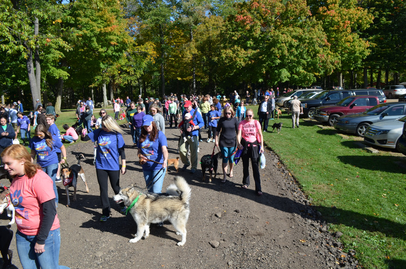 2019 Walk for the Animals