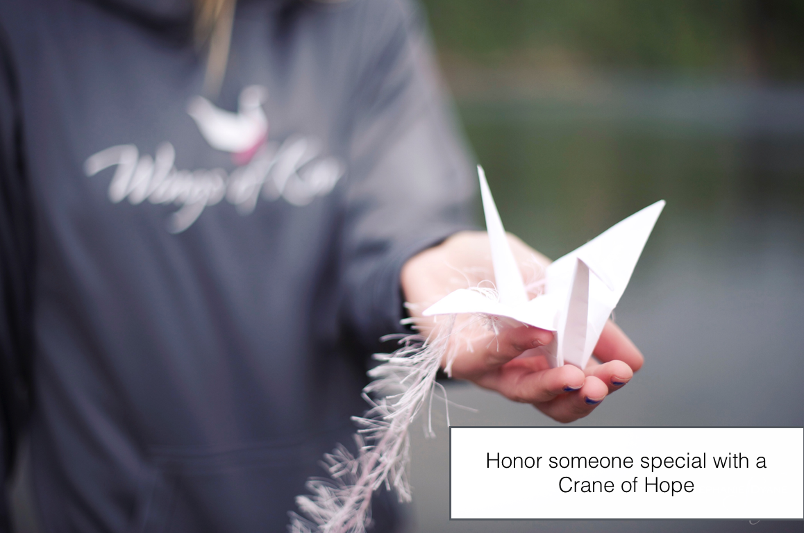 A Crane of Hope in honor of those we dash for...