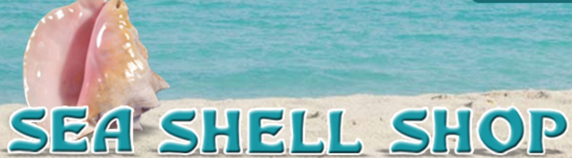 Sea Shell Shop