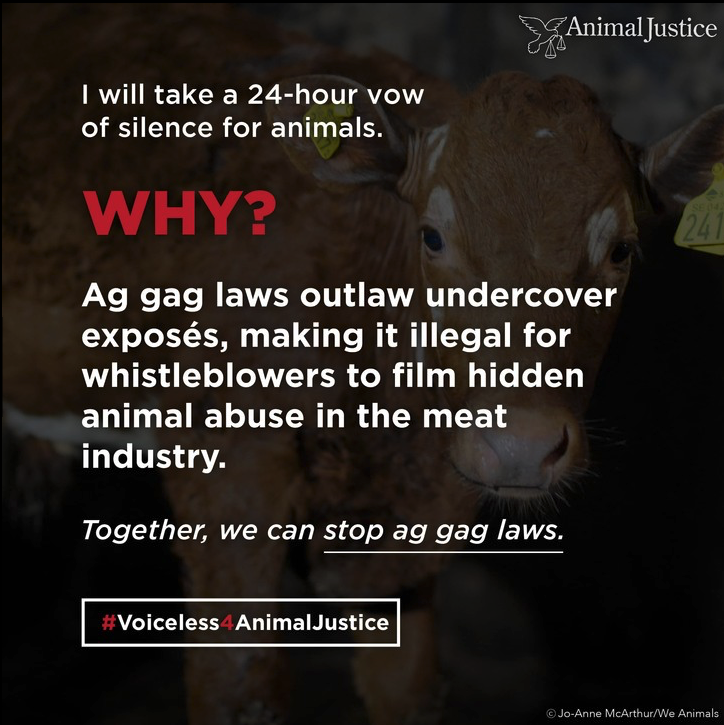 Screen Shot 2020-10-25 at 12.36.17 AM.png